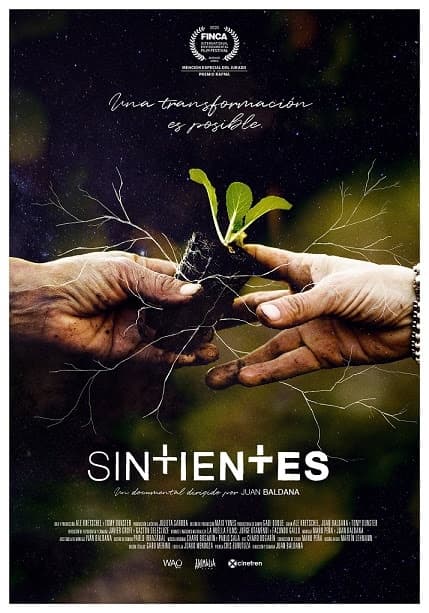 Sintientes