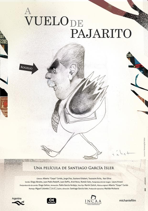 A vuelo de pajarito